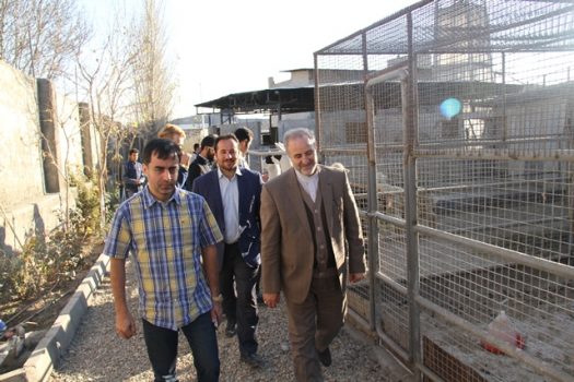 بازدید از مجتمع آموزشی و تفریحی سوارکاری در شهرستان پردیس