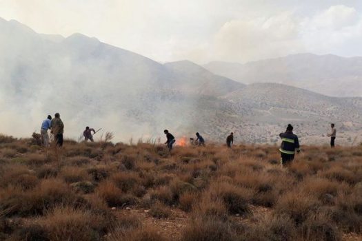 مهار آتشسوزی در ۲ هکتار از مراتع «تماشا» و «واصفجان» شهرستان پردیس مهار آتشسوزی در ۲ هکتار از مراتع «تماشا» و «واصفجان» شهرستان پردیس