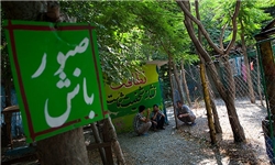 کمپ ترک اعتیار پردیس