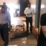 کارگاه بستهبندی ماهیهای فاسد در پردیس