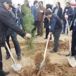 روز درختکاری دانشگاه آزاد واحد شهر پردیس