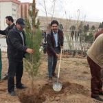 روز درختکاری دانشگاه آزاد واحد شهر پردیس