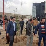 روز درختکاری دانشگاه آزاد واحد شهر پردیس