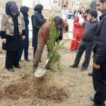 روز درختکاری دانشگاه آزاد واحد شهر پردیس