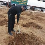 روز درختکاری دانشگاه آزاد واحد شهر پردیس