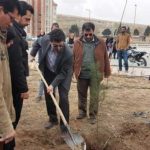 روز درختکاری دانشگاه آزاد واحد شهر پردیس