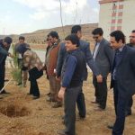 روز درختکاری دانشگاه آزاد واحد شهر پردیس