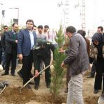 روز درختکاری دانشگاه آزاد واحد شهر پردیس