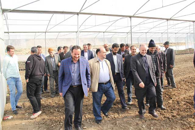 افتتاح مرکز کشت گلخانه‌ای در گلخندان شهرستان پردیس