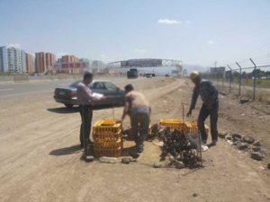 عرضه طیور دماوند پردیس