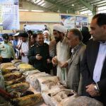 طرح ذوالفقار پردیس
