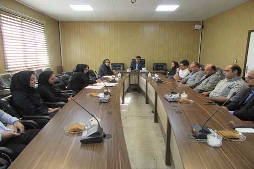 نظام پزشکی پردیس