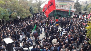 جاماندگان اربعین در پردیس