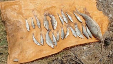 صید ماهی رودخانه هراز