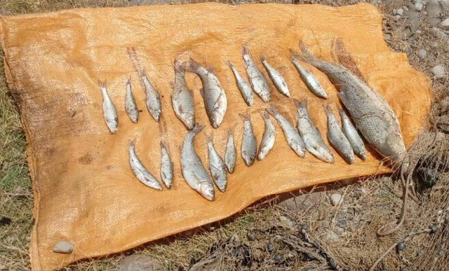 صید ماهی رودخانه هراز
